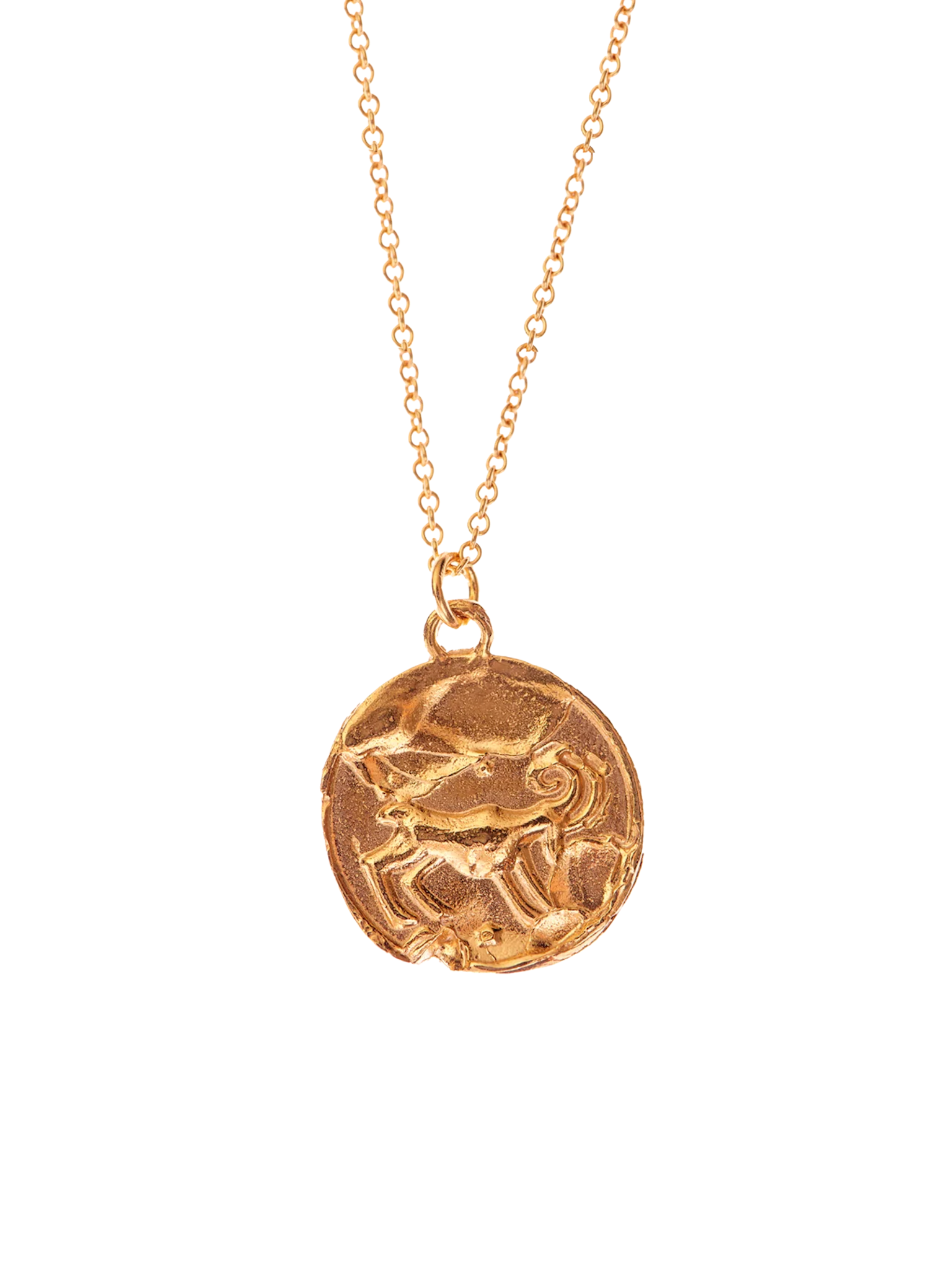 The aries medallion necklace