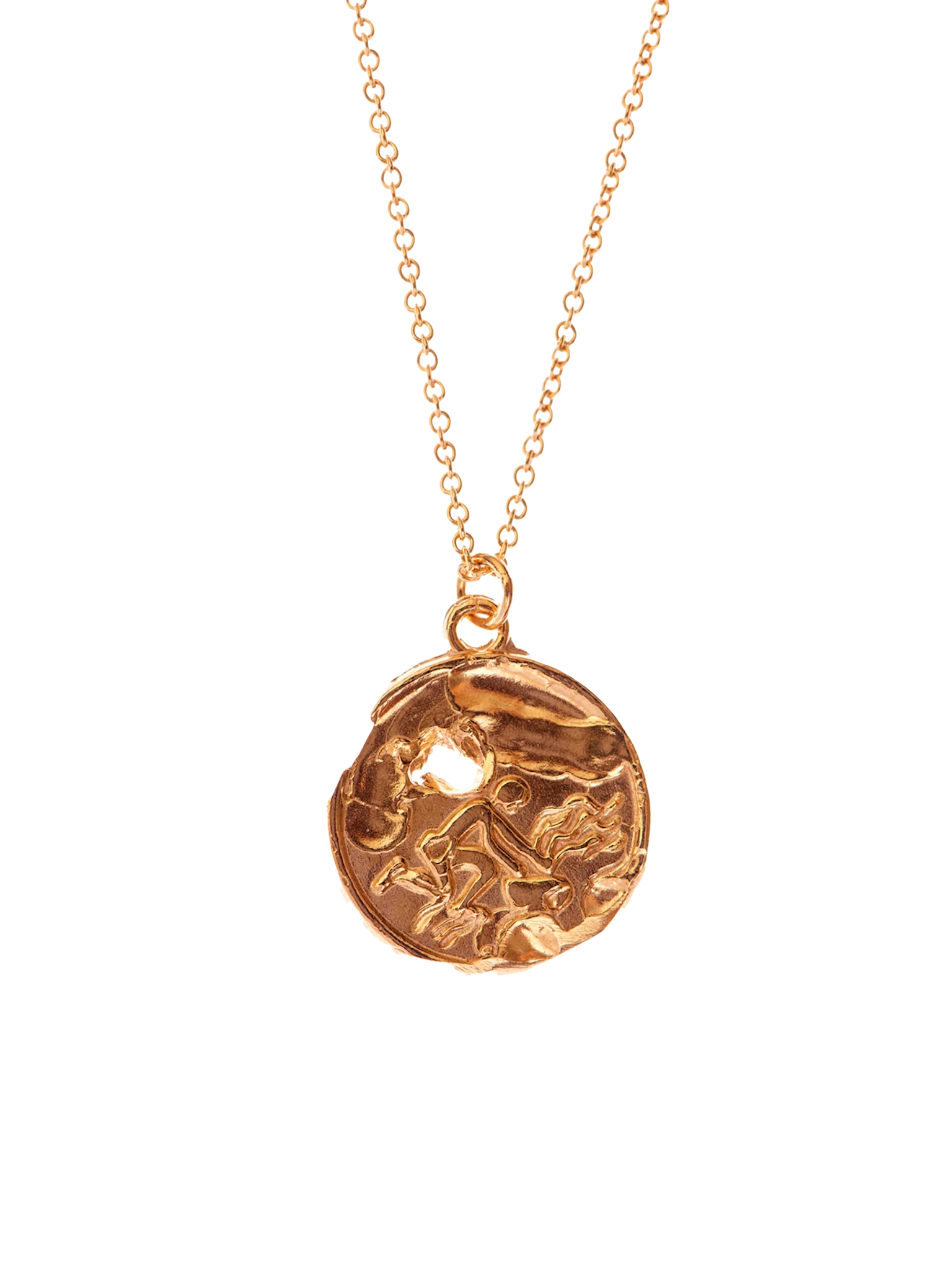 The aquarius medallion necklace