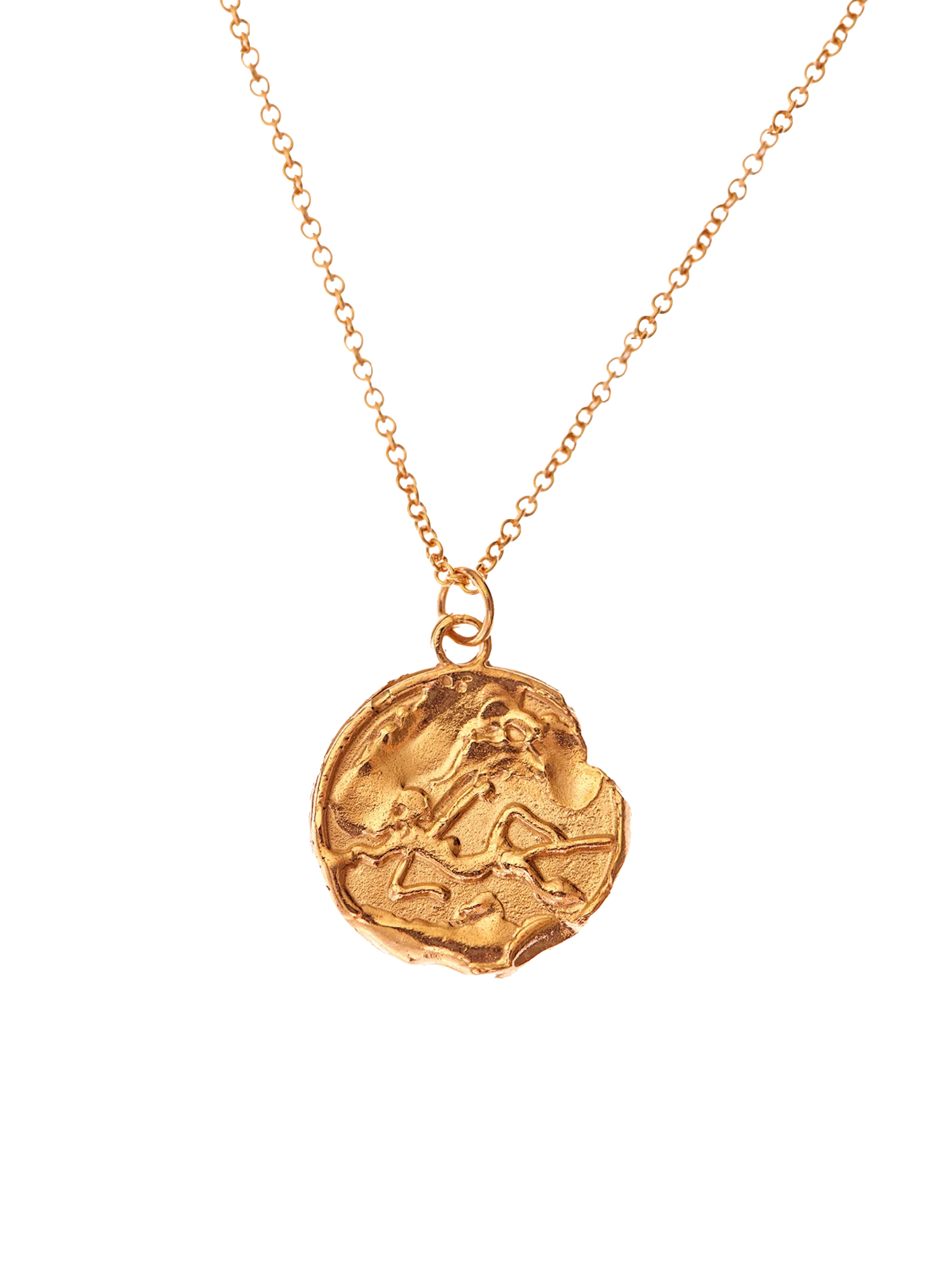 The virgo medallion necklace