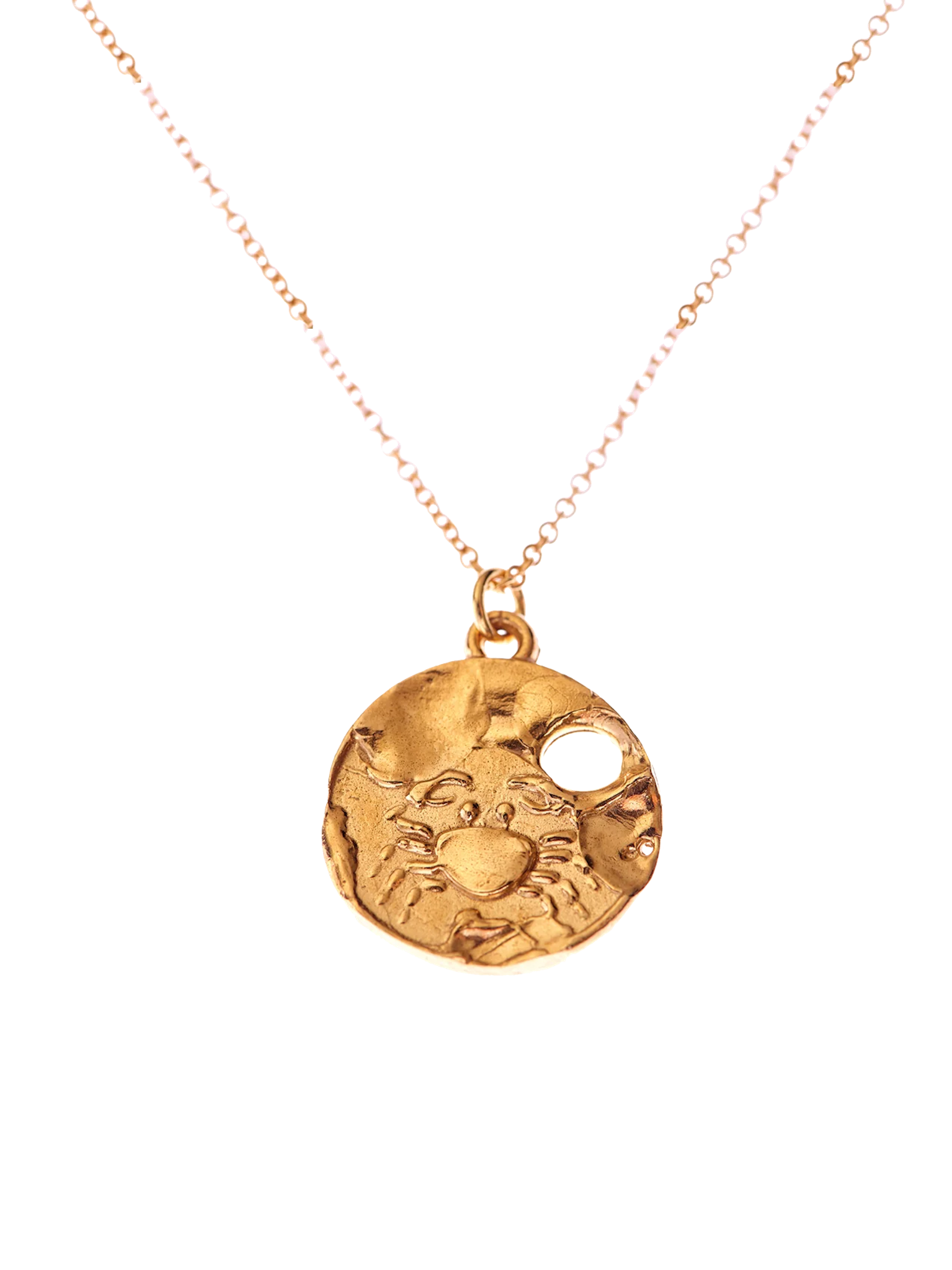 The cancer medallion necklace