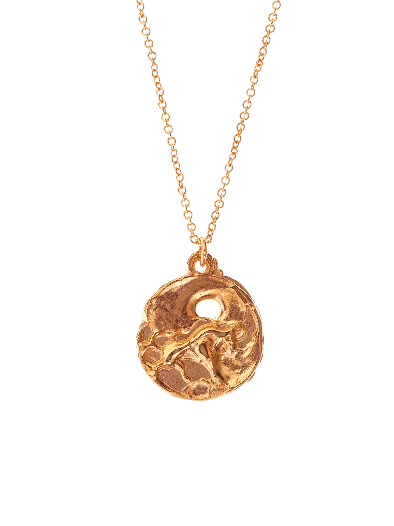 The taurus medallion necklace
