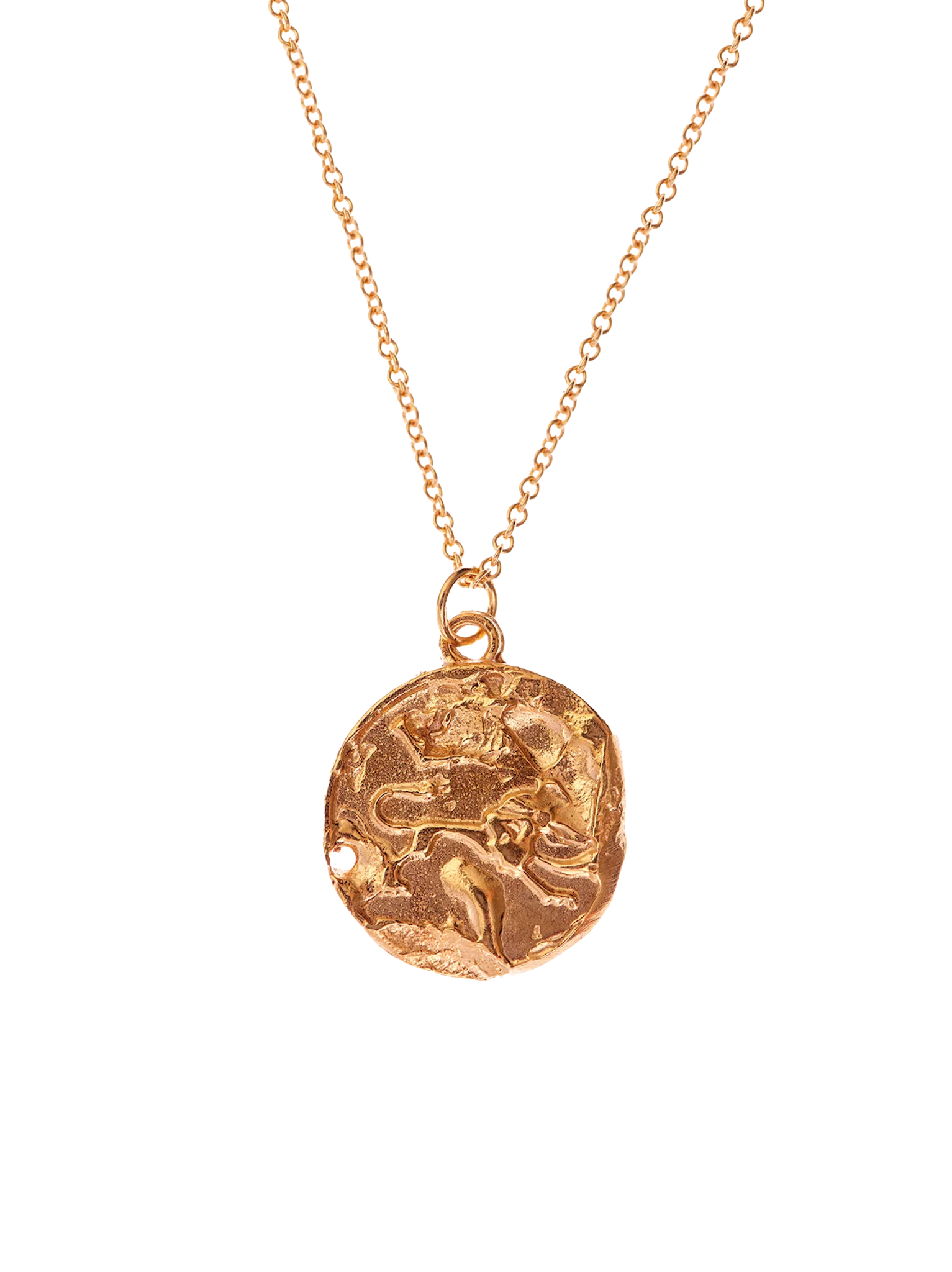 The leo medallion necklace