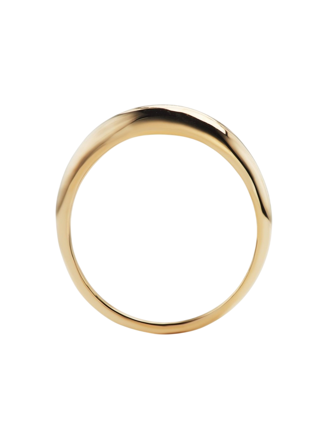 leander ring photo