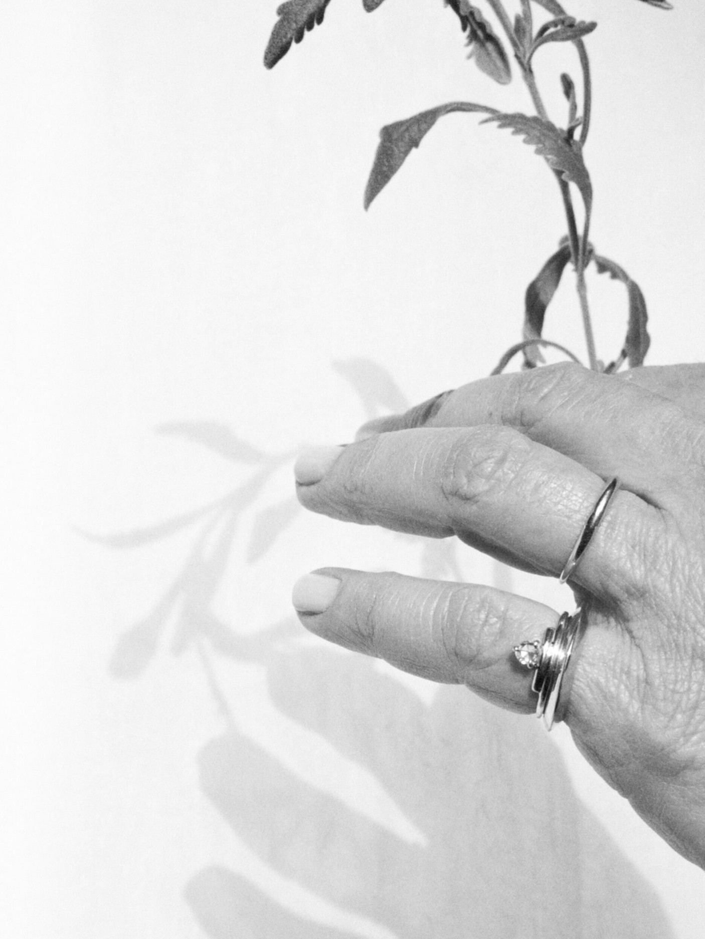 nightbird ring