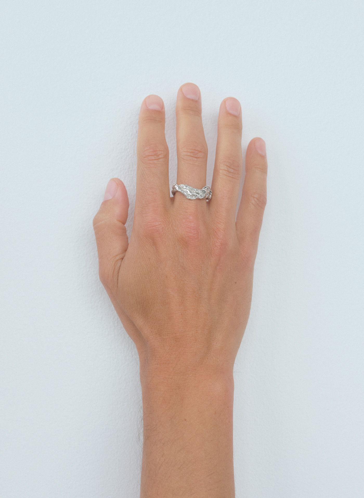 Aubertii ring