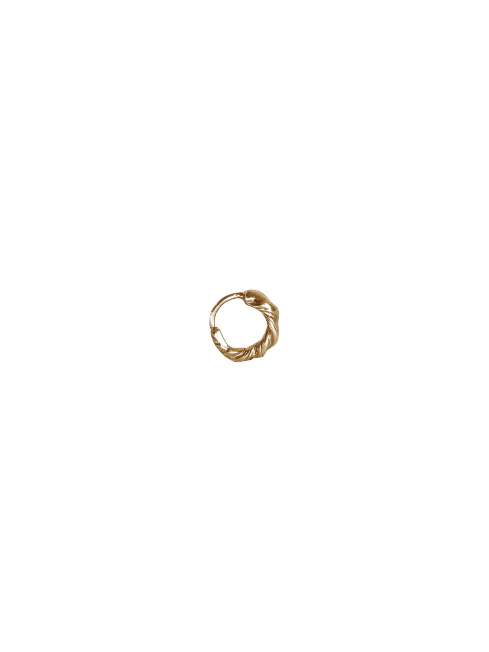 Mik Gold Earring photo