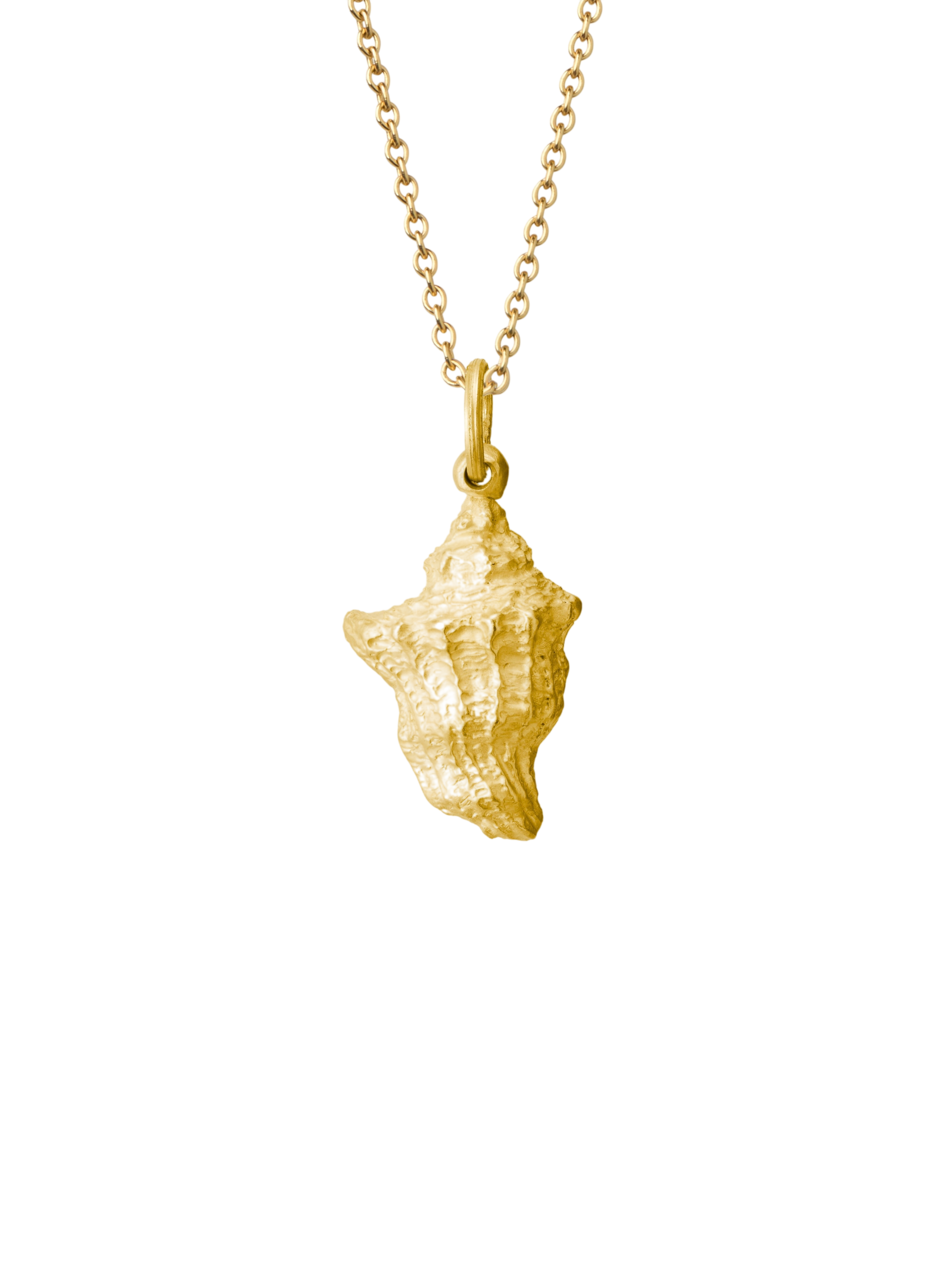 Conch Necklace — Large Pendant photo