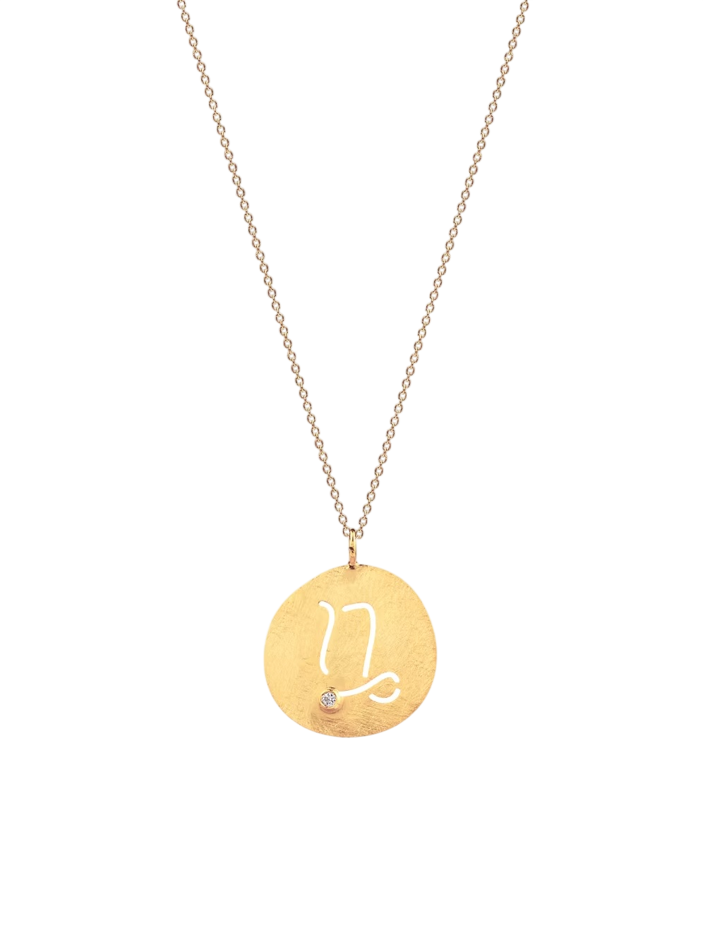 Capricorn Pendant