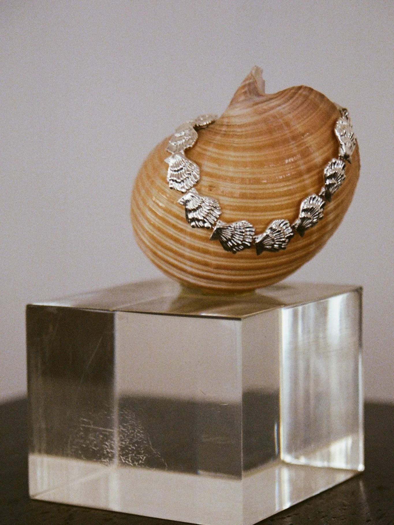 Eternity Shell Bracelet Silver