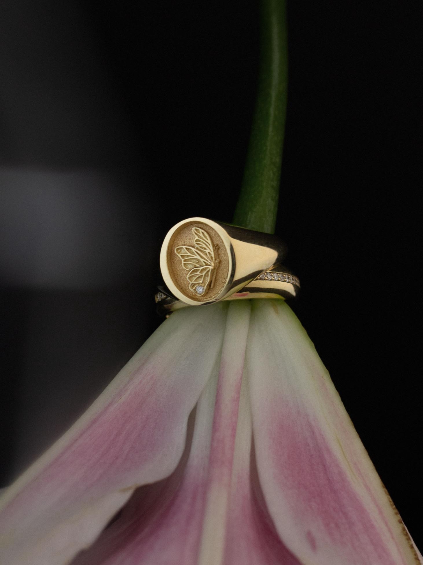 Juliette Butterfly Signet Ring