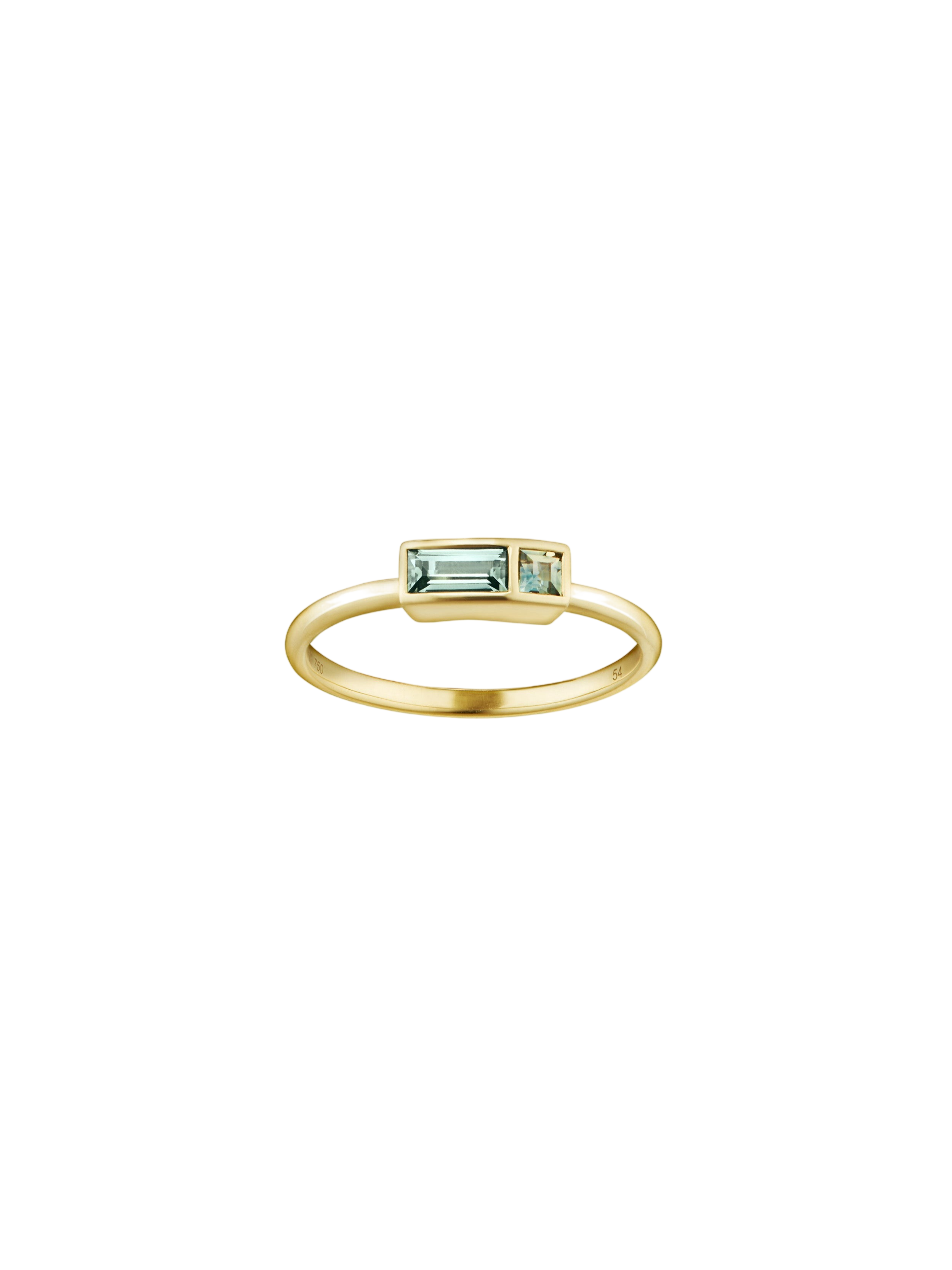 EVA RING