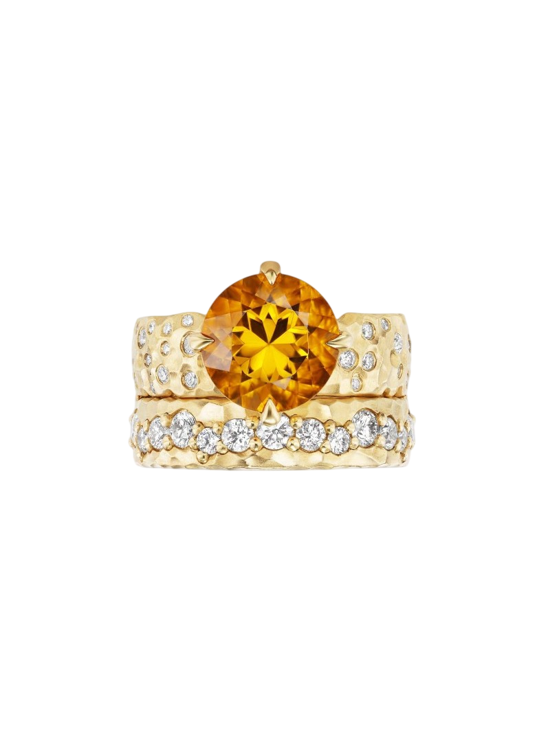 La Tera Ring photo