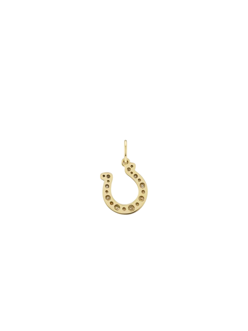 Large Studded Horseshoe WD