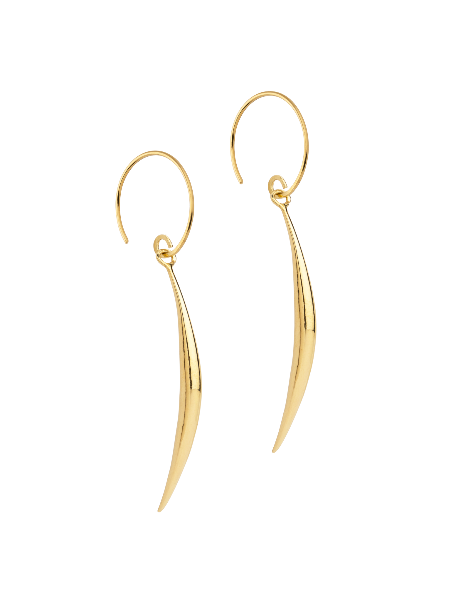 Golden tusk earrings