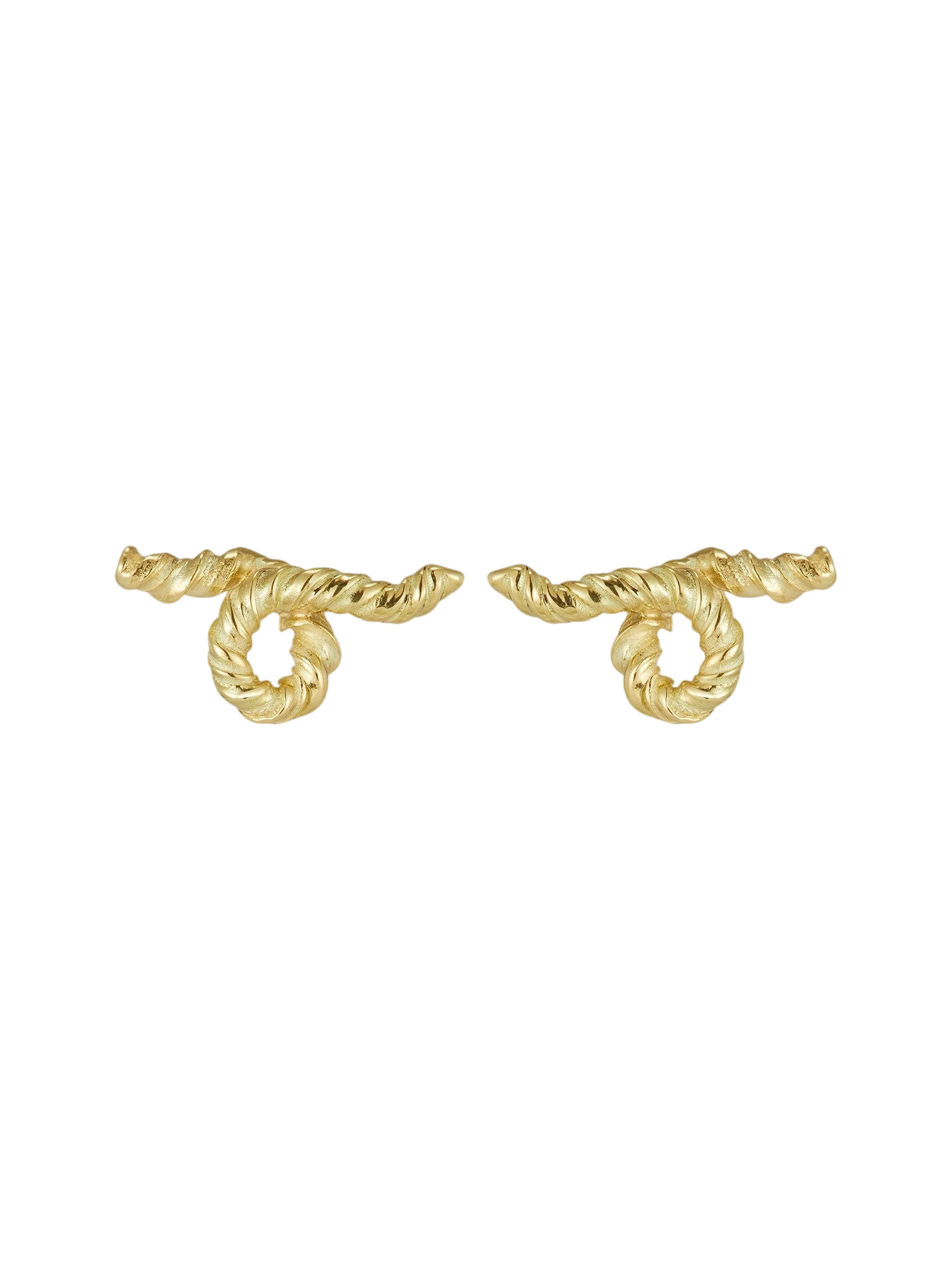 Squiggle Twist Earrings photo