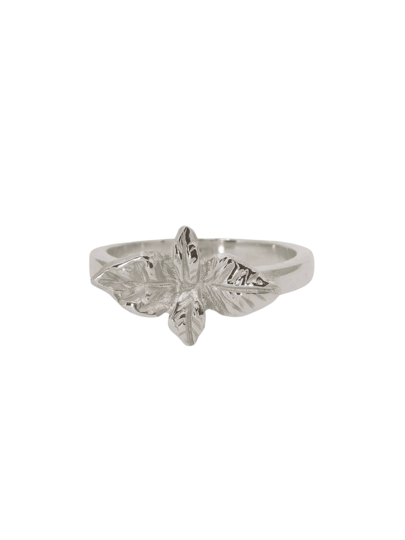 Basil - good wishes in silver