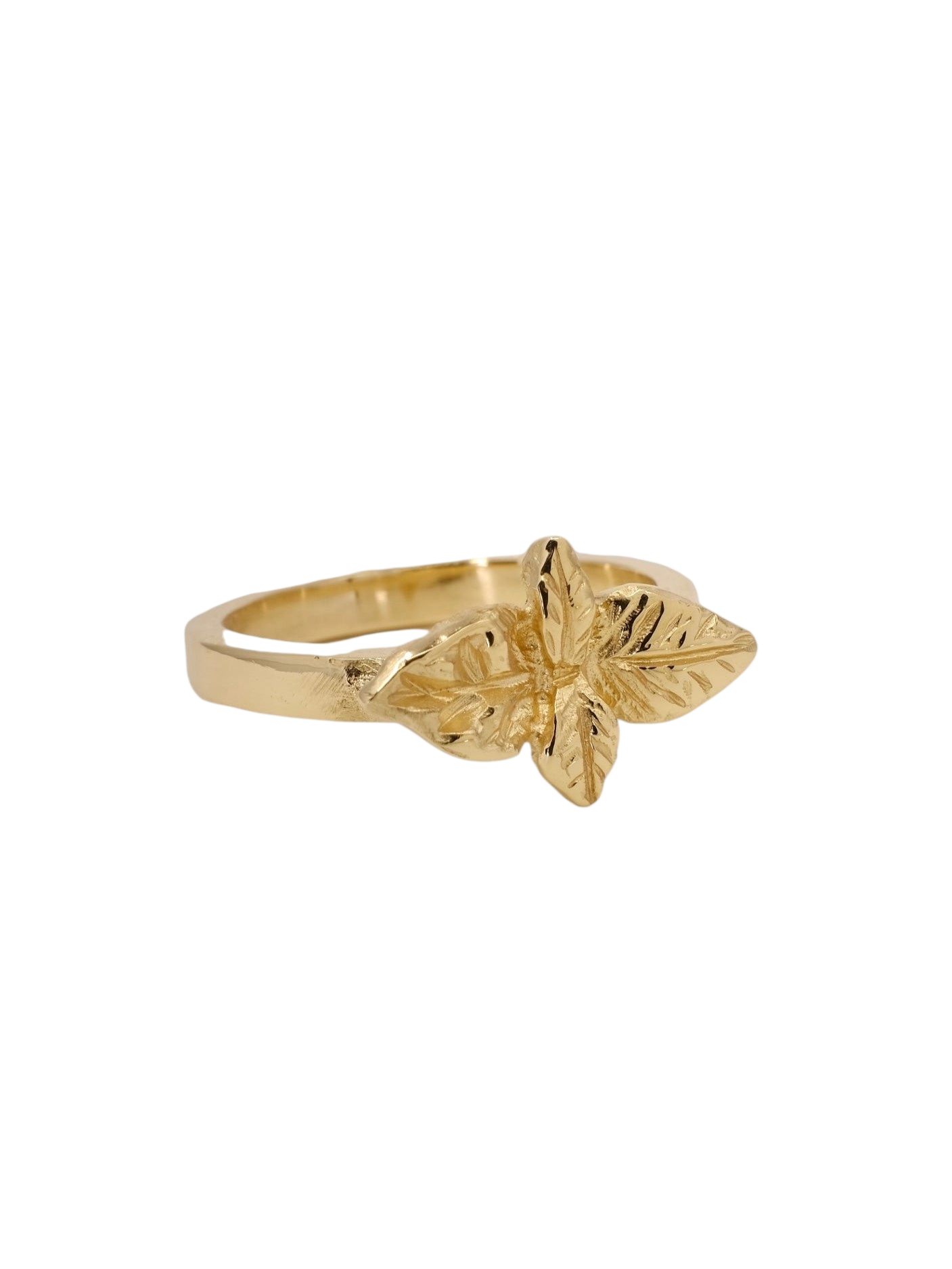 Basil - good wishes in gold