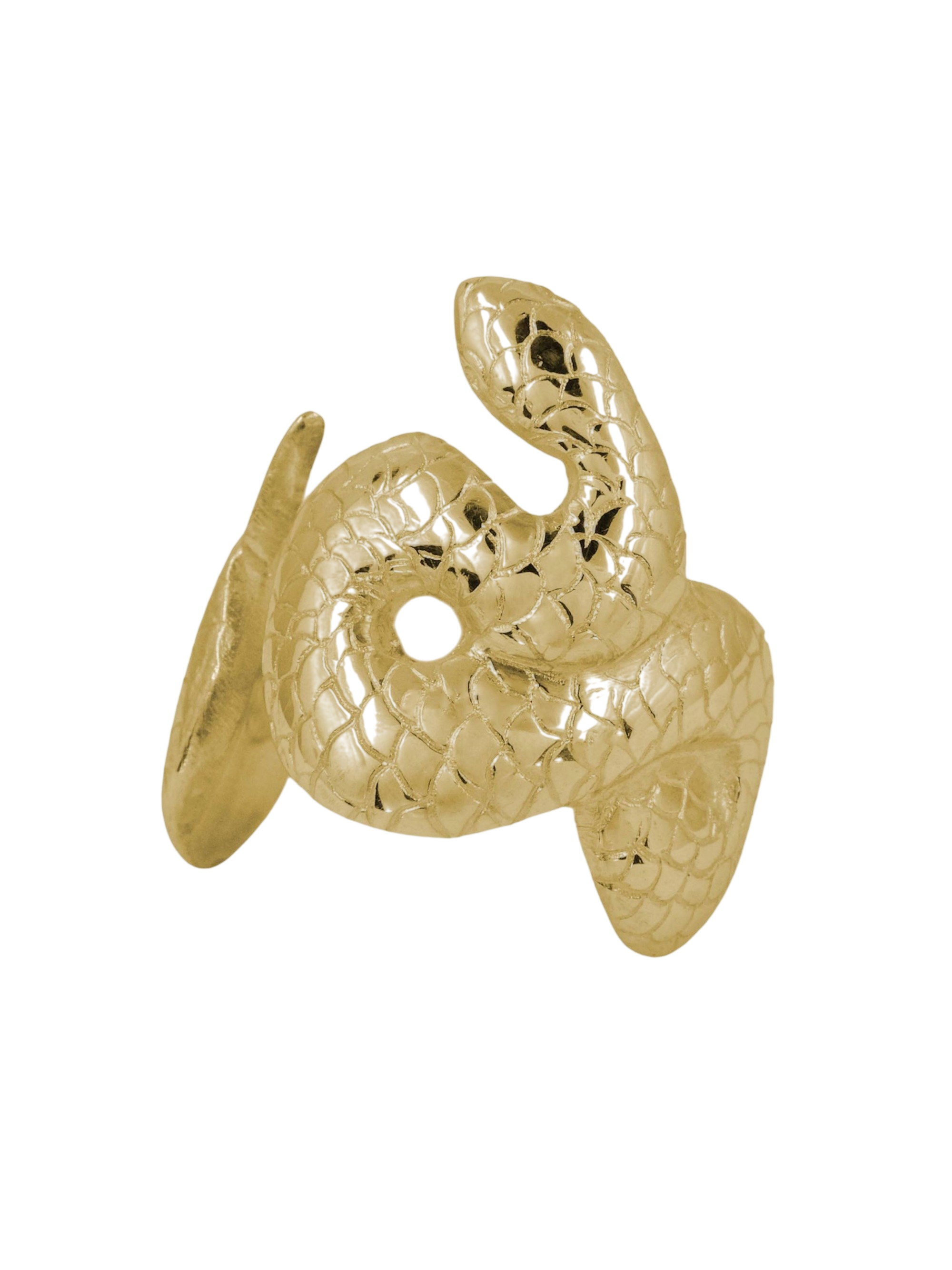 Serpent Ring photo