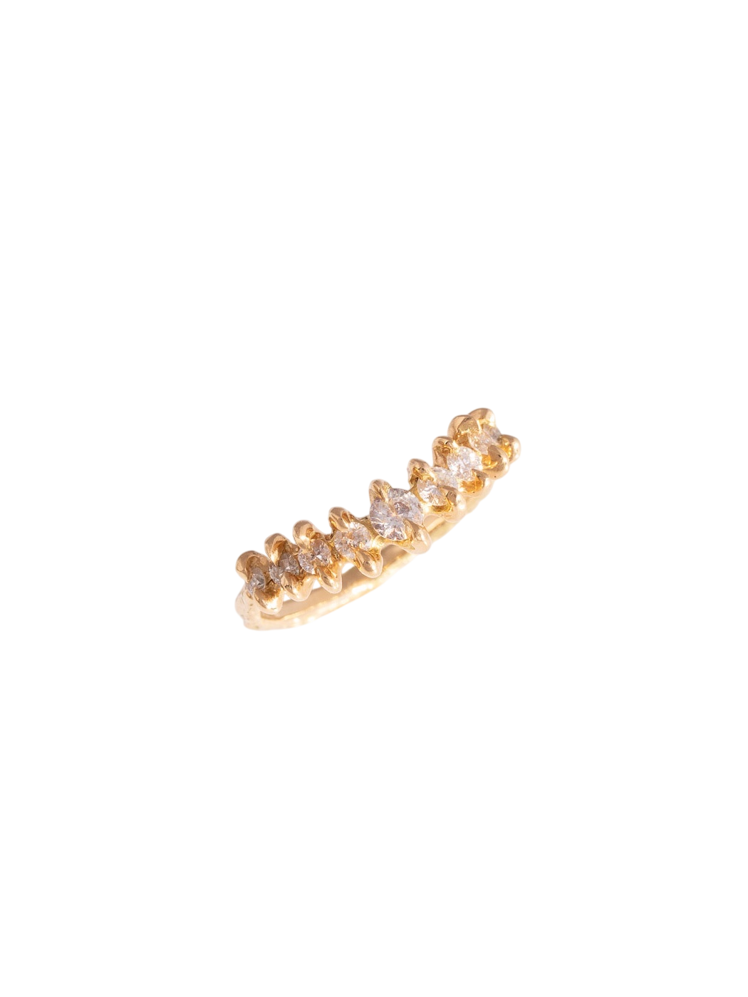 Gladiolus diamonds photo