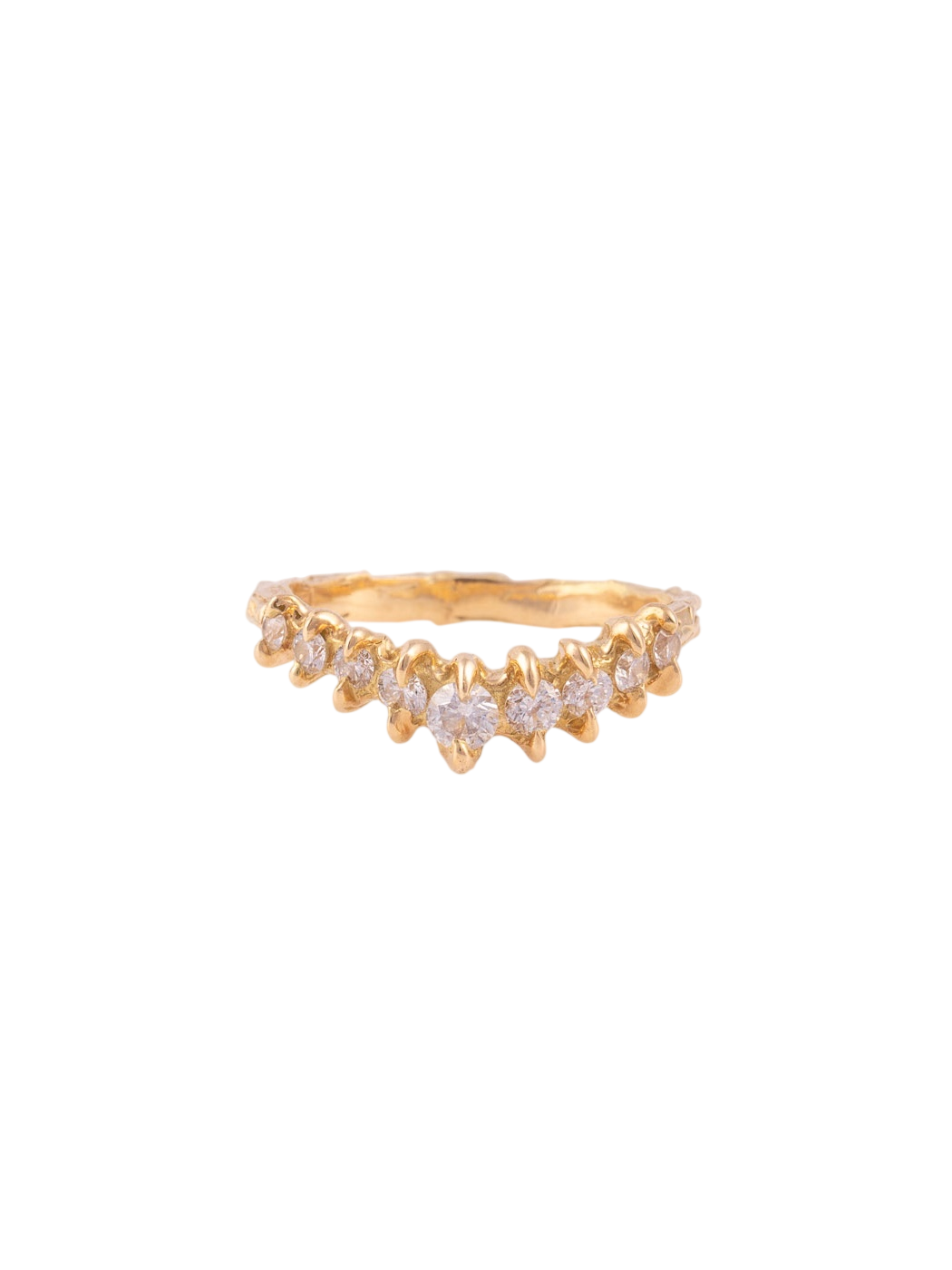 Gladiolus diamonds photo