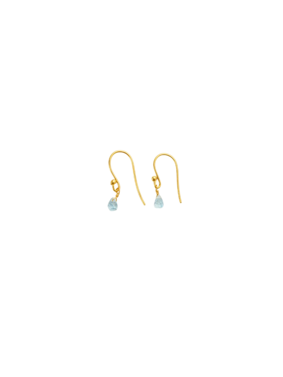 18kt Gold Anemone Aquamarine Tiny Drop Earrings photo