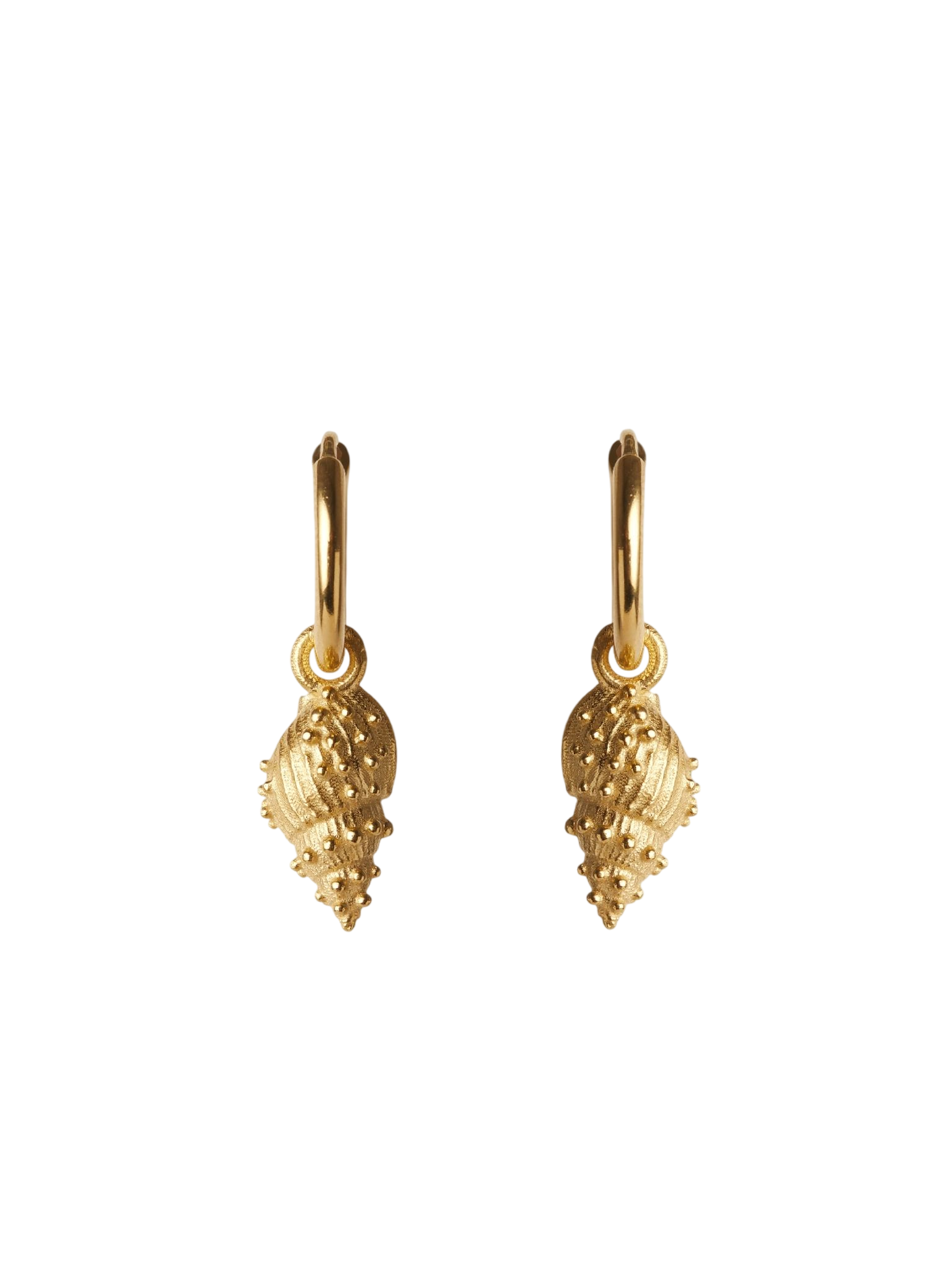 Thalassa mini hoop earrings gold