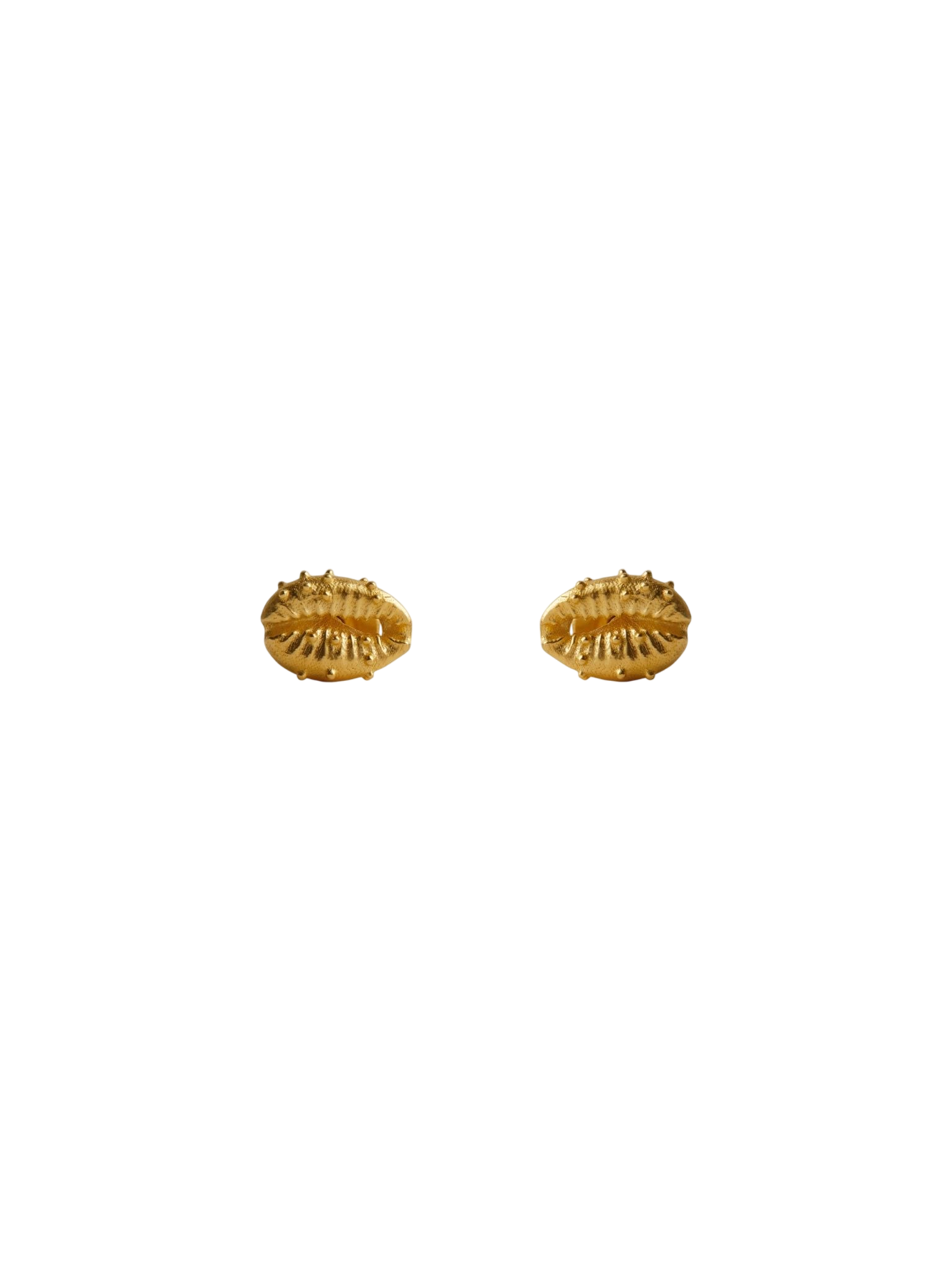 Aphrodite stud earrings gold