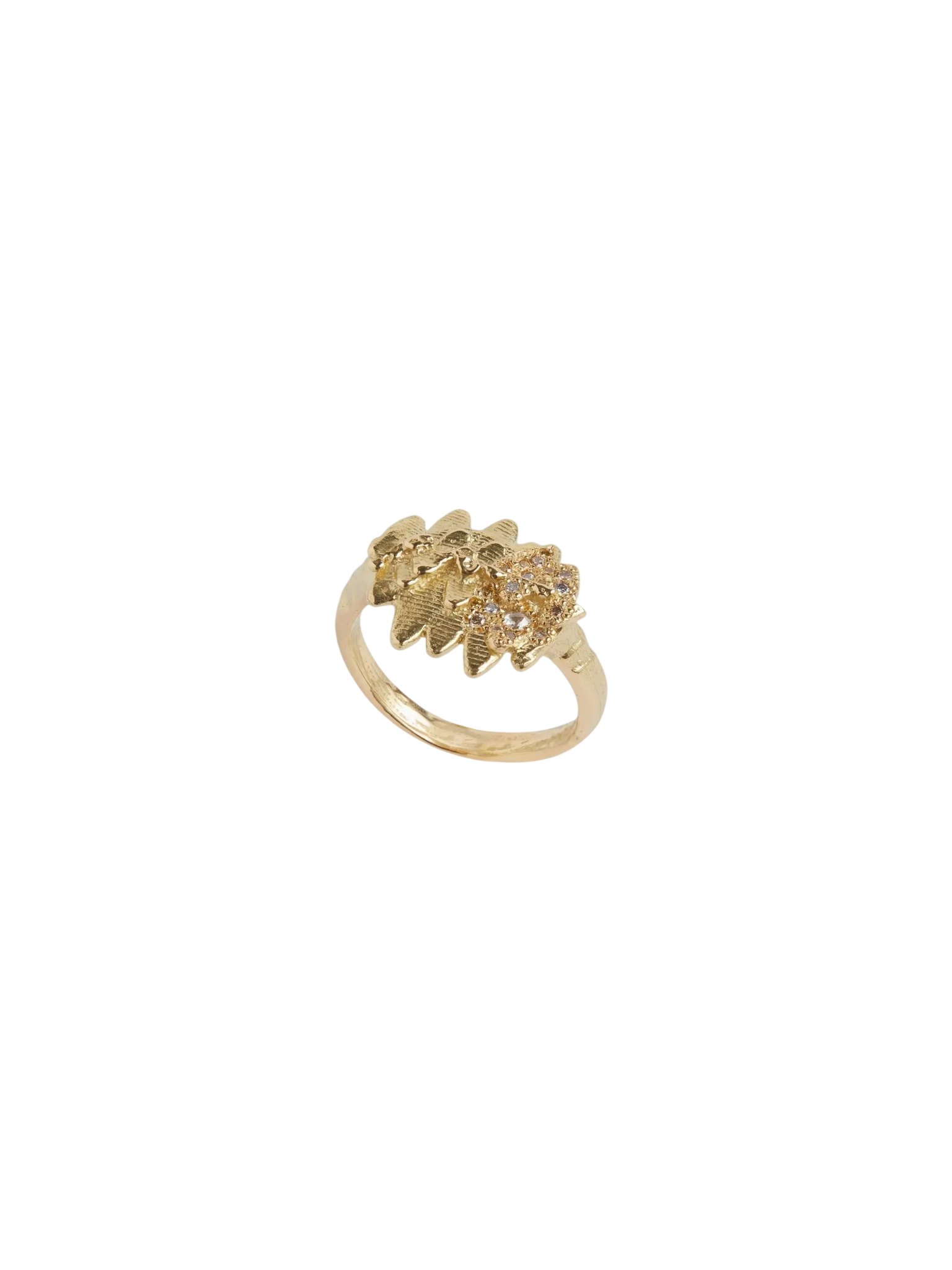 Cuttlefish Cast Jurassic Signet