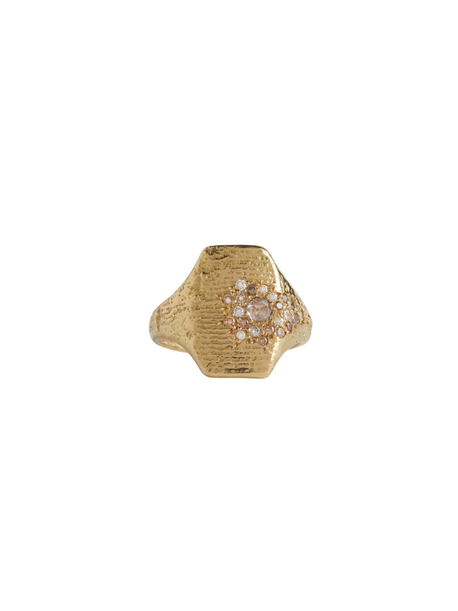 Cuttlefish Cast Golden Shield Signet