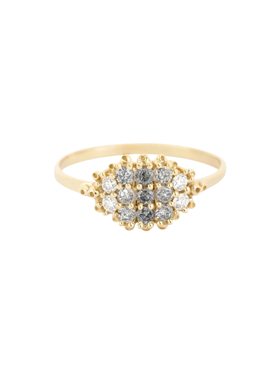 Fereastra Ring- GY photo