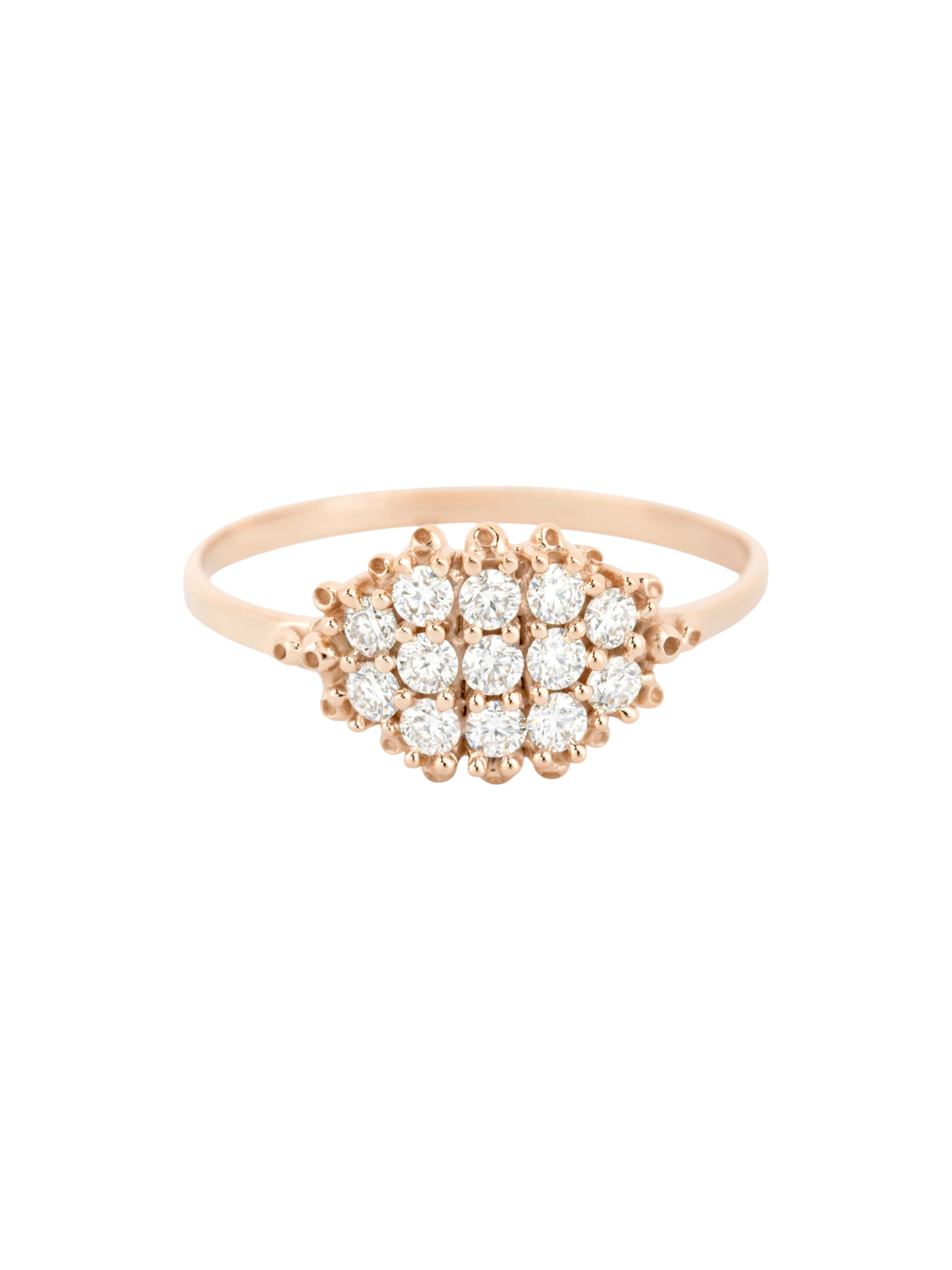 Fereastra Ring- RY photo