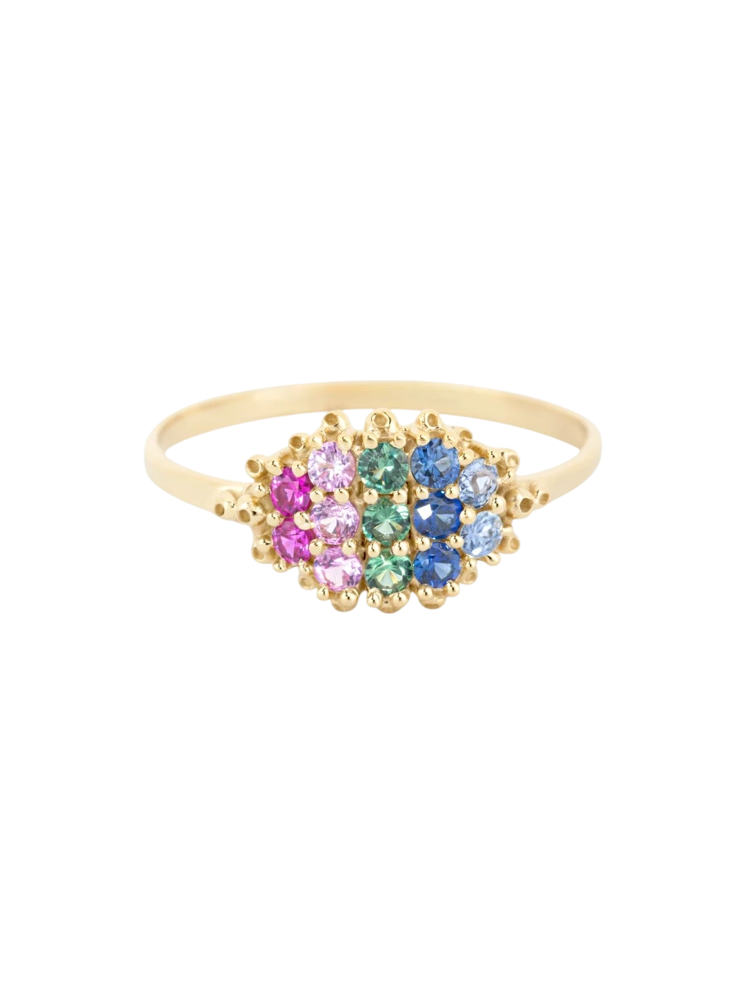 Fereastra Ring- Spring photo