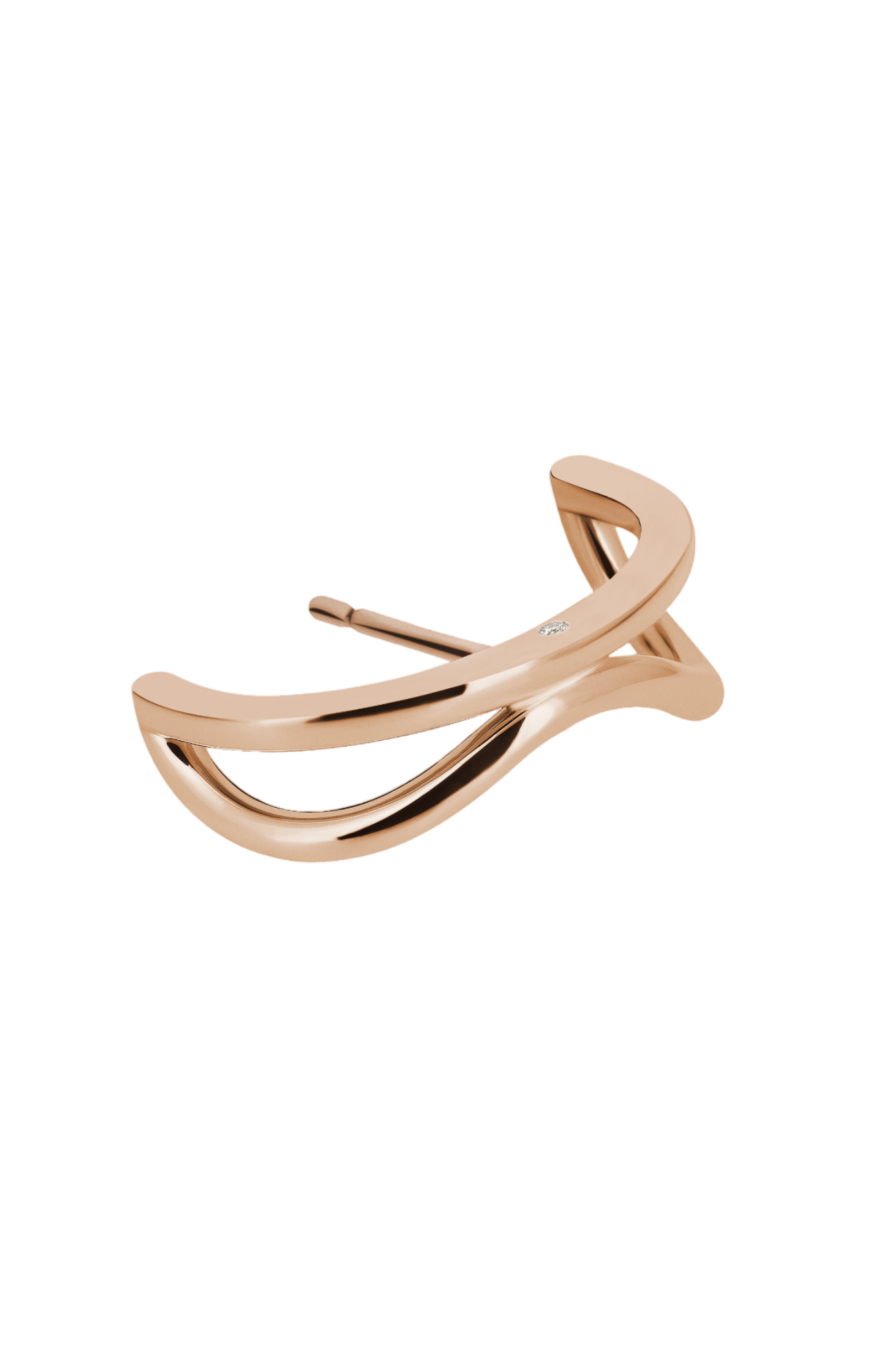 Harmony earring