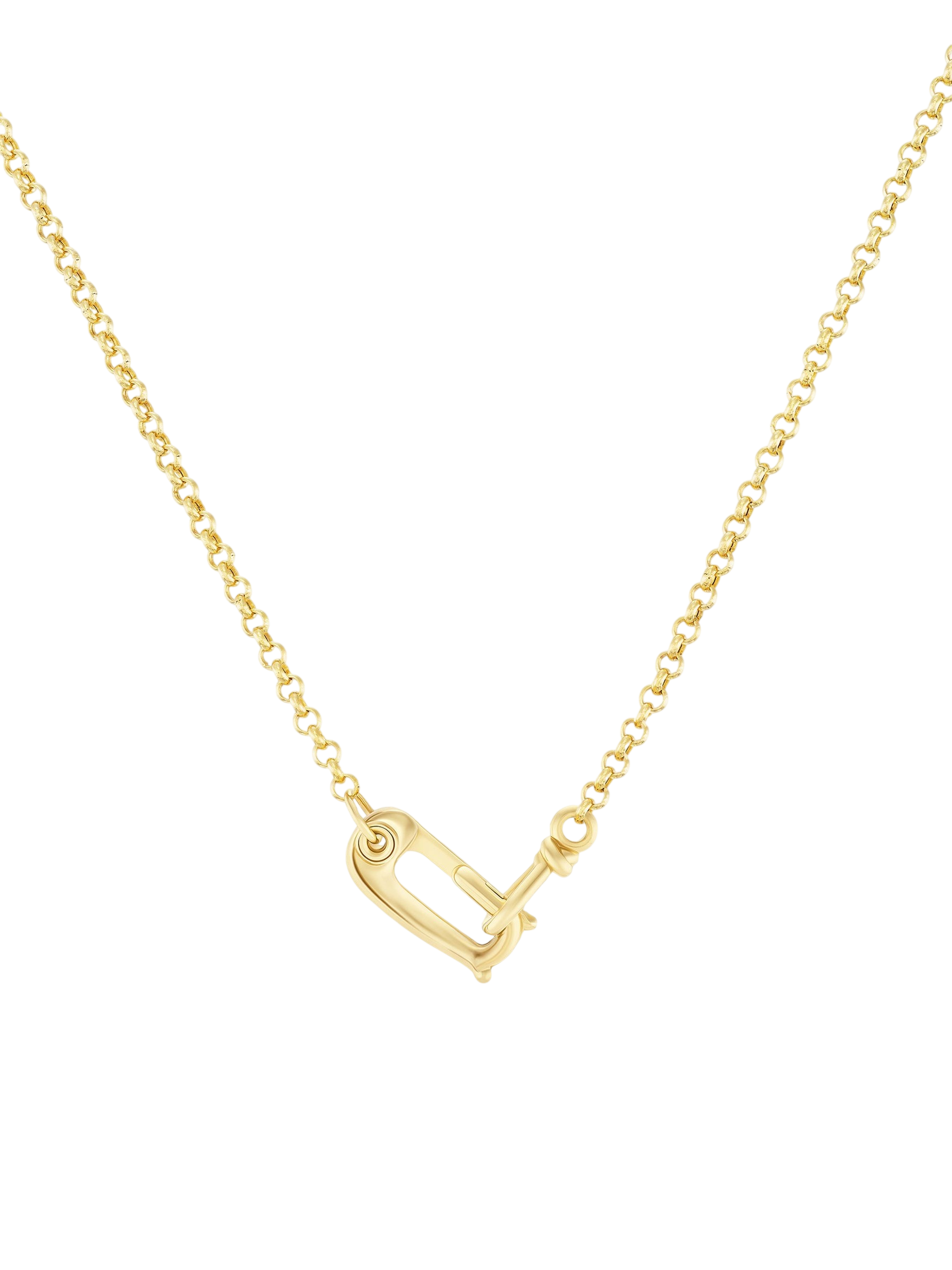 Lock It Rolo Chain photo
