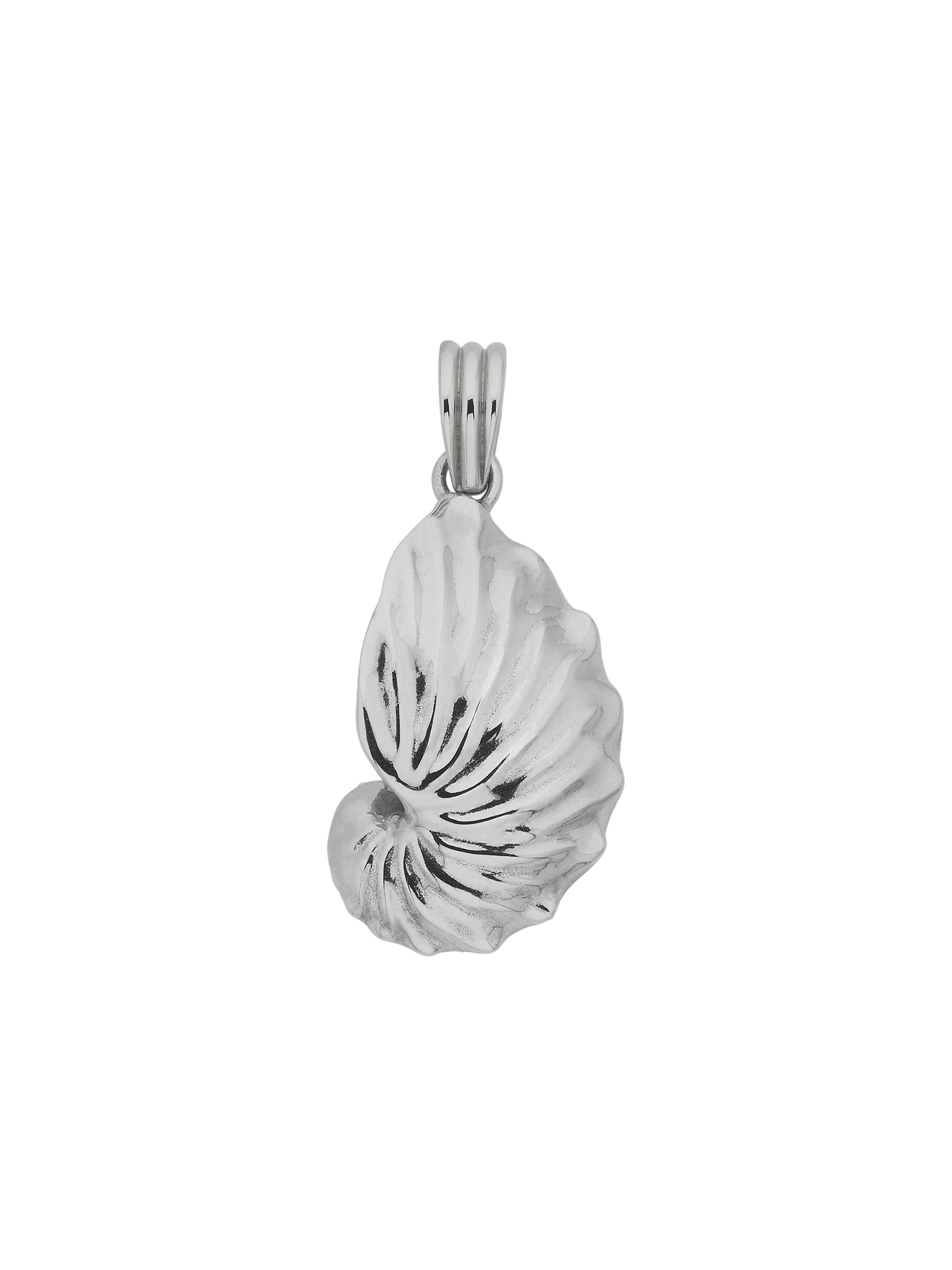 Paper nautilus charm silver