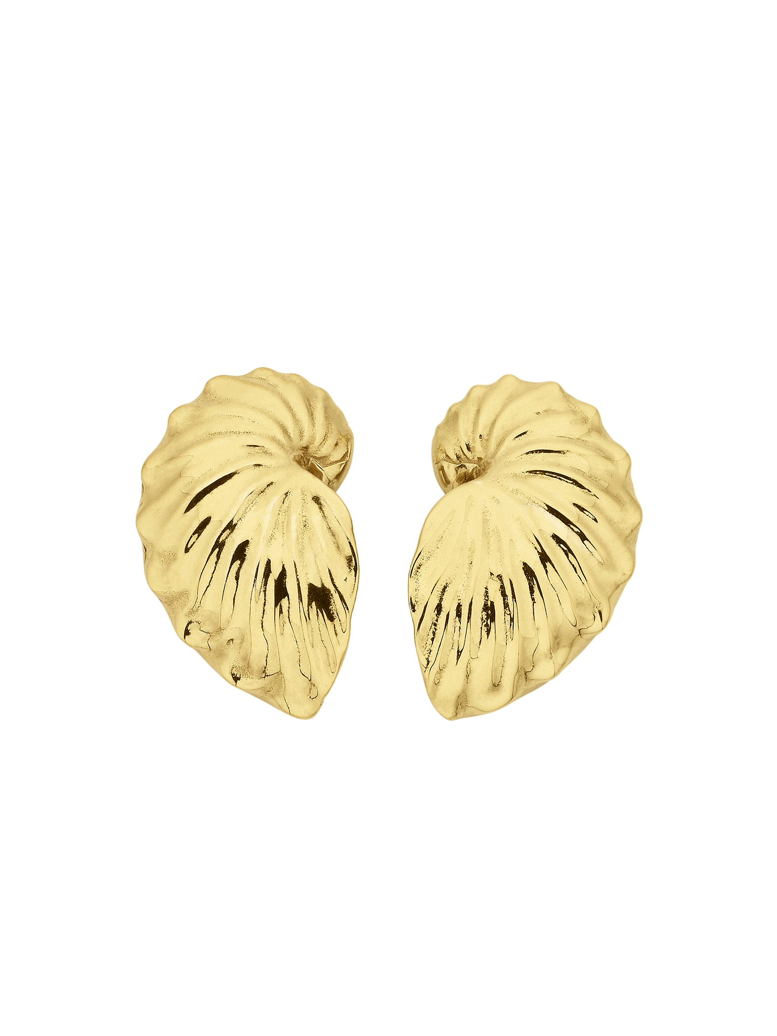 Paper nautilus earrings gold